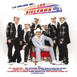 Download track Por Tu Maldito Amor Los Rieleros Del Norte