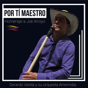 Download track Las Marimondas Del Carnaval Su Orquesta Amerindia