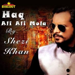 Download track Dildara Shezi Khan