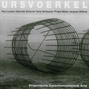 Download track Propinquity-13 Urs Voerkel