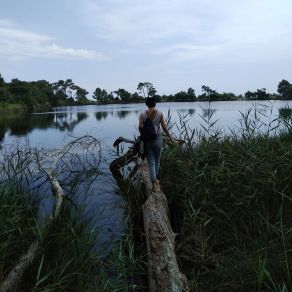 Download track À Nos Jolies Plantes Messidor