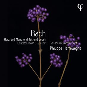 Download track Bach Was Gott Tut, Das Ist Wohlgetan, BWV 99 II. Recitativo. Sein Wort Der Wahrheit Stehet Fest Collegium Vocale Gent Philippe Herreweghe