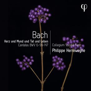 Download track Bach Herz Und Mund Und Tat Und Leben, BWV 147, Pt. 1 VI. Choral. Wohl Mir, Daß Ich Jesum Habe Collegium Vocale Gent Philippe Herreweghe