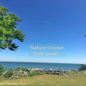 Download track Nature Groove Bob Sparks