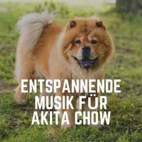 Download track Glücklicher Tag Für Ihren Hund Entspannende Musik Für Hunde