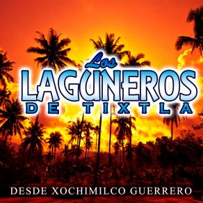 Download track Los Diablos / Los Chinelos Los Laguneros De Tixtla