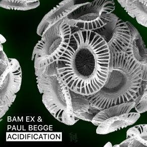 Download track Acidification (Bam Ex Remix) Paul Begge