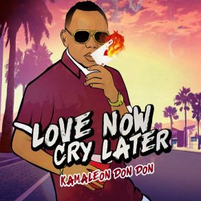 Download track Love Now Cry Later Kamaleon Don Don