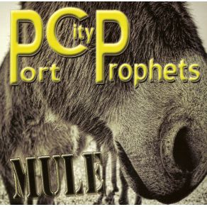 Download track I Used To Love You Port City Prophets