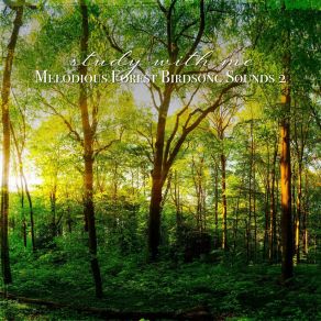 Download track Melodious Forest Birdsong Sounds, Pt. 17 Sebastian Riegl