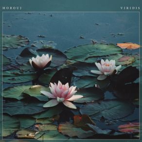 Download track Viridis (Solo Version) Morouj