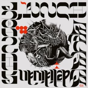 Download track Düzkontak Ethnique Punch, Grup SesGizem