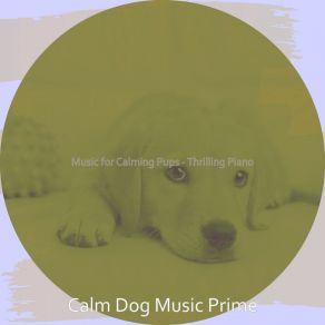 Download track Piano Jazz Soundtrack For Walking Doggies Calm Dog Music Prime