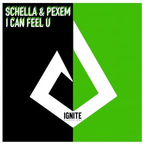 Download track I Can Feel U Pexem