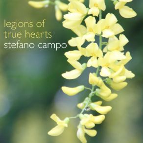 Download track So Large, So Far Stefano Campo