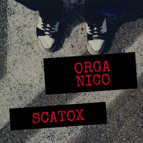 Download track Memorized Scatox