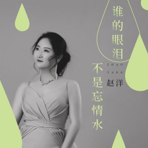 Download track 谁的眼泪不是忘情水 赵洋