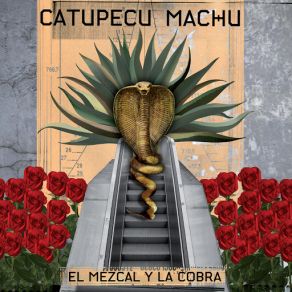 Download track Baile Guerrero - Golpe Certero Catupecu Machu