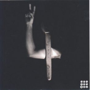 Download track Fly On The Windscreen (Death Mix)  Depeche Mode