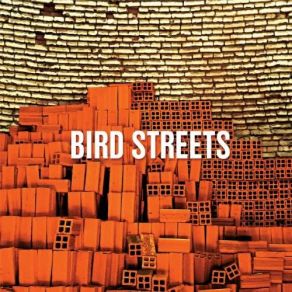 Download track Same Dream Bird Streets