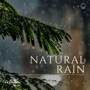 Download track The Rainforest, Pt. 26 Rainfall Place