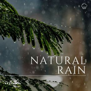 Download track The Rainforest, Pt. 16 Rainfall Place