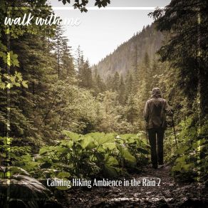 Download track Calming Hiking Ambience In The Rain, Pt. 4 Daniel Dodik