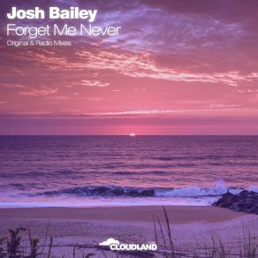 Download track Forget Me Never Josh Bailey