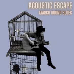 Download track Blue & Lonesome Marco Buono Blues