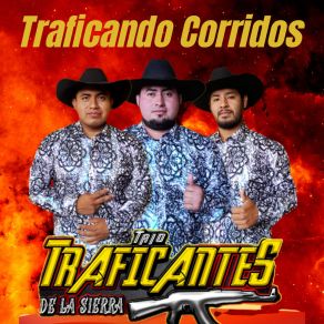 Download track Corrido De La Diabla Trio Traficantes De La Sierra