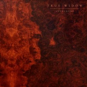 Download track What Finds Me True Widow