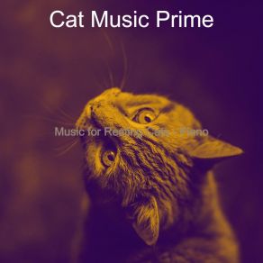 Download track Fantastic Moods For Kittens Cat Music Prime