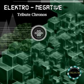 Download track Mayan Artifact (Part II Rmx) Elektro-Negative