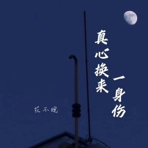 Download track 真心换来一身伤 (伴奏) 花不晚