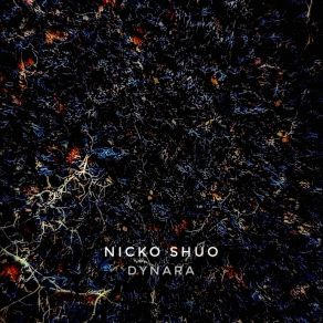 Download track Prismatica Nicko Shuo