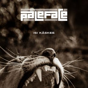 Download track Käsi Iskee PalefaceDJ Massimo