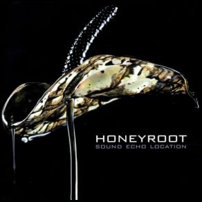 Download track Summer Sunset Honeyroot