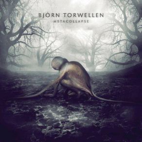 Download track Chiptrails Bjorn Torwellen