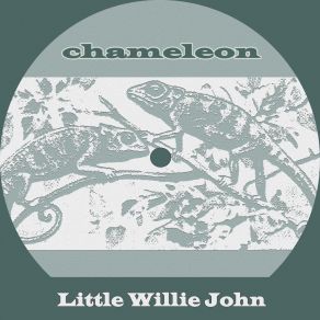 Download track My Nerves Little Willie John