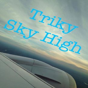 Download track Elevation Triky