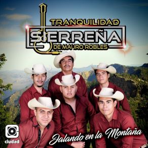 Download track Voy A Pintar Mi Raya Tranquilidad Sierreña De Mauro Robles