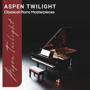 Download track Flute And Harp Concerto In C Major, K. 299 / 297c: III. Rondeau. Allegro Aspen TwilightWolfgang Amadeus Mozart