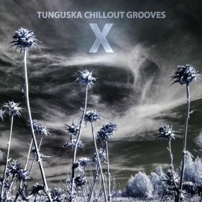 Download track K - PAX Tunguska Electronic Music SocietyEmpiric