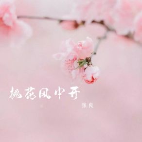 Download track 桃花风中开 (伴奏) Zhang Liang