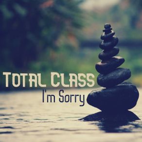 Download track I'm Sorry (Level Three Mix) Total Class