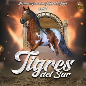 Download track Apenas Te Fuiste Ayer Tigres Del Sur