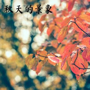 Download track 秋天的景象 幻境音乐厂