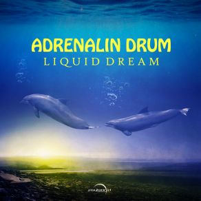 Download track Liquid Dream Adrenaline Drum