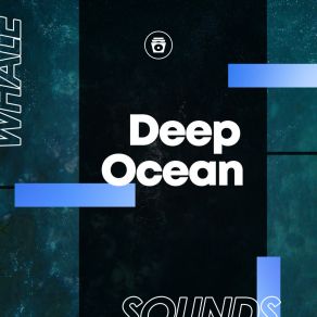 Download track Haunting Ocean Deep Whale Sounds