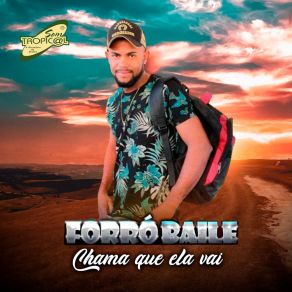 Download track Vou Voltar Pro Meu Sertão Forró Baile